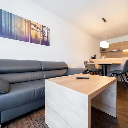 Feldberg Domizil - Residenz Grafenmatt Apartment