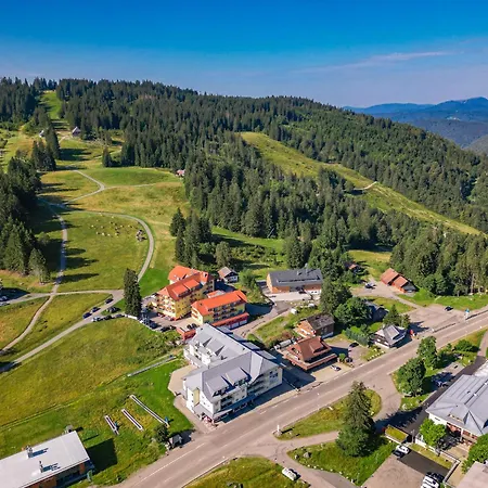 Апартаменты Feldberg Domizil - Residenz Grafenmatt